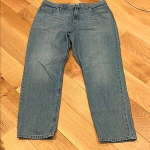 Everlane the super soft  Relaxed Jeans‎ Comfortable Everyday Wear 31